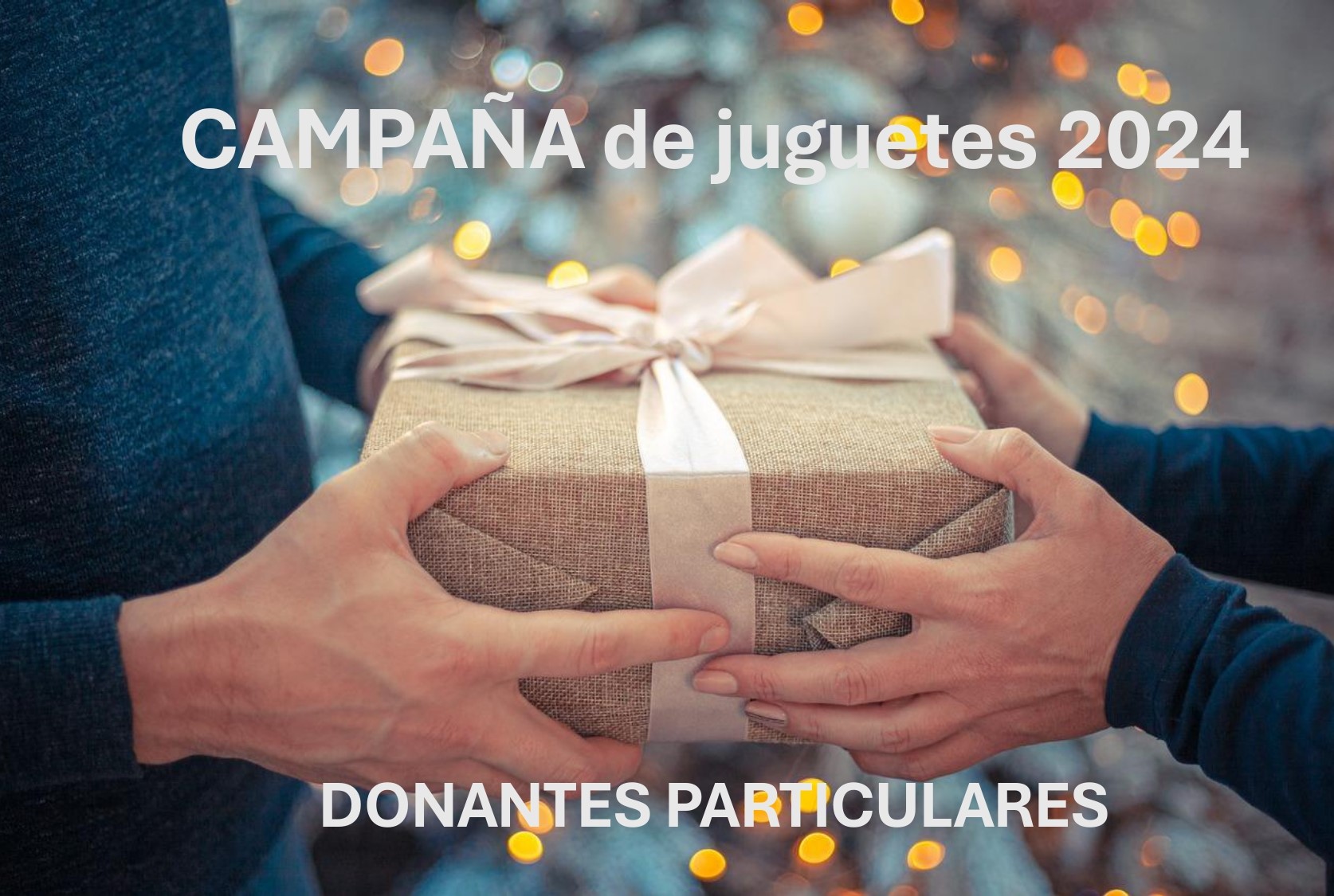 CAMPAÑA de juguetes 2024 para DONANTES PARTICULARES